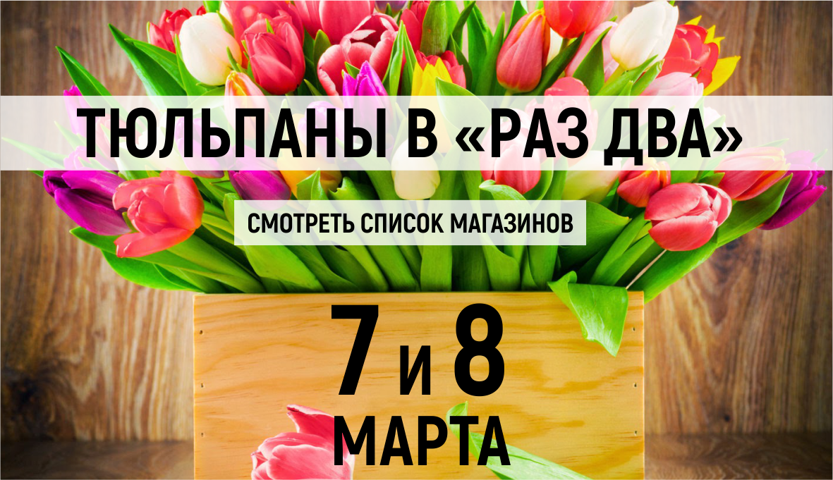 Тюльпаны на 8 марта