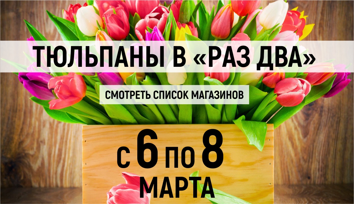 Тюльпаны в «Раз Два»